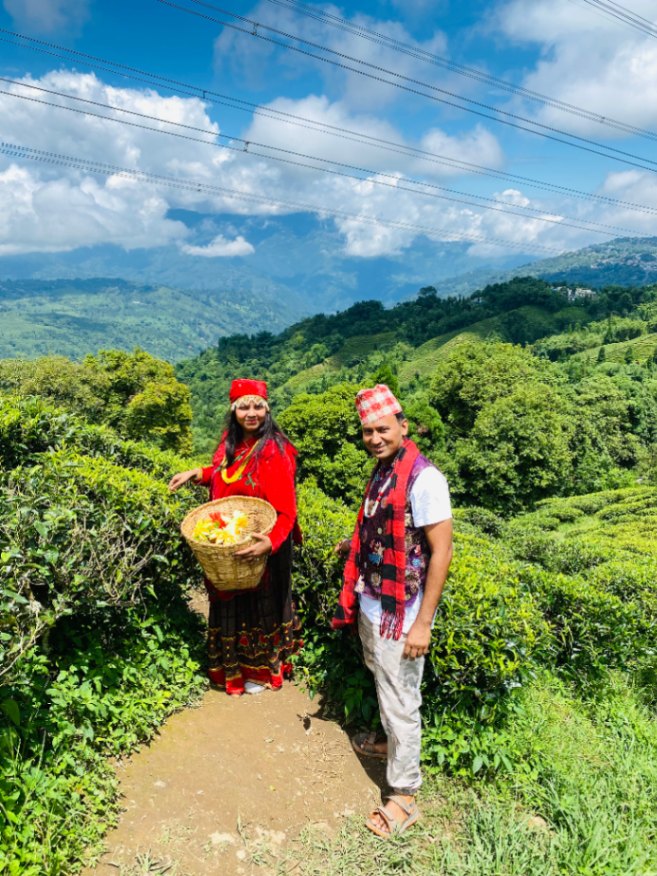 Couple in Darjeeling tea garden