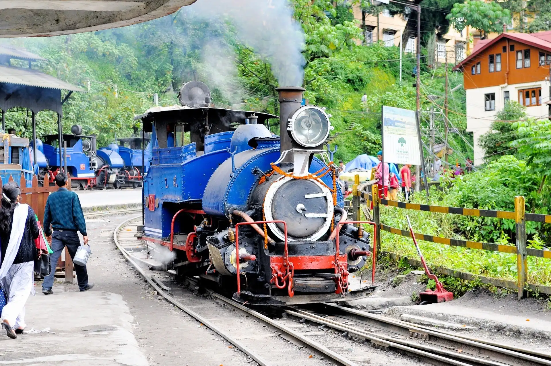 Darjeeling Toy Train passing through scenic hills