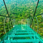 Nature Safari and Glass Skywalk